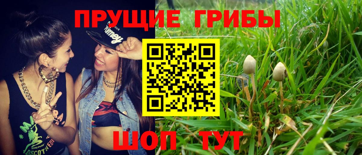 Надым  Галлюциногенные грибы мицелий  Галлюциногенные грибы мухоморы  Вход с VPN 