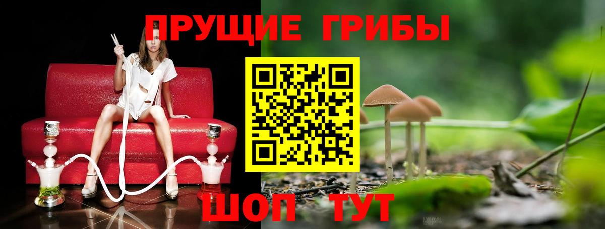 Псилоцибиновые грибы GOLDEN TEACHER Надым